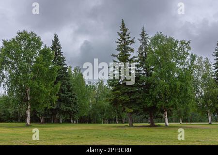 Fairbanks, Alaska, USA - 27 luglio 2011: Università dell'Alaska. Prato con alberi verdi nei terreni intorno agli edifici sotto il paesaggio grigio nuvoloso Foto Stock