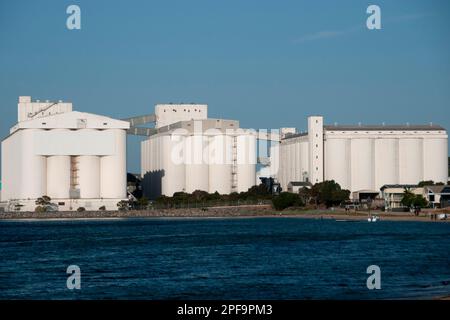 Silos di Torre voluminosi per deposito di grano Foto Stock