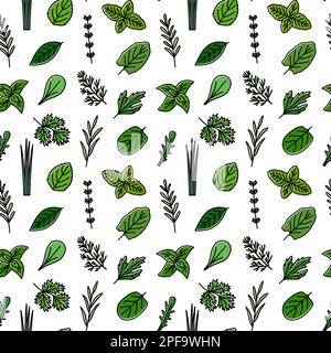 Modello senza cuciture con icone colorate di erbe culinarie, illustrazione vettoriale Illustrazione Vettoriale
