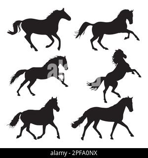 Collezione Horse silhouette, Set Horse silhouette. Silhouette a cavallo Illustrazione Vettoriale