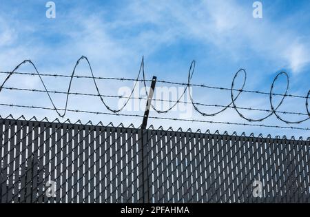 Sicurezza con una recinzione di filo spinato. filo spinato muro di acciaio contro le immigrazioni con cielo blu sullo sfondo. foto strada, nessuno, copia spazio fo Foto Stock