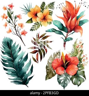 Set vettoriale di Watercolor tropicale illustrazione floreale. foglie verdi e fiori, mazzi per stazionari di nozze Illustrazione Vettoriale