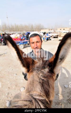 Ritratto di un uomo Uighur con l'asino. Foto scattata in un mercato settimanale del bestiame nella periferia di Kashgar, Xinjiang, Cina. Foto Stock