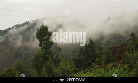 paesaggio panoramico, bella vista delle colline palani (parte delle montagne ghats occidentali) a kodaikanal collina stazione a tamilnadu, india meridionale Foto Stock