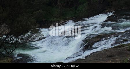 vista panoramica della cascata di pykara circondata da una lussureggiante foresta verde ai piedi delle montagne di nilgiri vicino alla stazione di ooty hill a tamilnadu, india meridionale Foto Stock