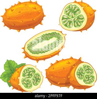 kiwano alimentare maturo set cartoon vettoriale illustrazione Illustrazione Vettoriale