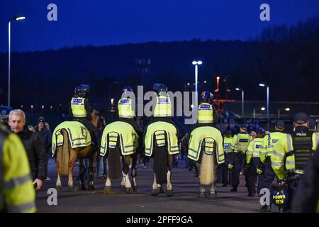 Cavalli di polizia alla partita della Premier League tra Brighton & Hove Albion e Crystal Palace all'American Express Community Stadium , Brighton , Regno Unito - 15th marzo 2023. Foto Simon Dack/Telephoto immagini. Solo per uso editoriale. Nessun merchandising. Per le immagini di calcio si applicano le restrizioni di fa e Premier League inc. Nessun utilizzo di Internet/cellulare senza licenza FAPL - per i dettagli contattare Football Dataco Foto Stock