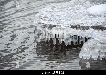 Le ciclicine sono appese sotto il ghiaccio sullo sfondo di un fiume caduto in primavera. Grandi pietre ricoperte di ciclicoli sulla riva di un fiume di montagna. Foto Stock