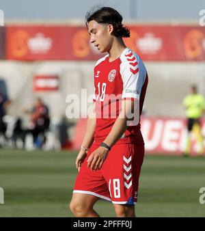 Ness Ziona, Israele. 26th maggio, 2022. Ness Ziona, Israele, 26th 2022 maggio: Azione durante la partita di calcio del Campionato UEFA U17 tra Danimarca e Serbia allo Stadio Nes Tzona di Ness Ziona, Israele. (Alain Schieber/SPP) Credit: SPP Sport Press Photo. /Alamy Live News Foto Stock