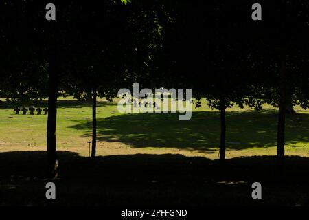 Cimitero di guerra tedesco la Cambe. Vicino a Bayeux. Dipartimento Calvados. Normandia. Francia. Foto Stock