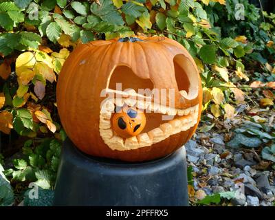 Divertenti Zucca di Halloween Foto Stock