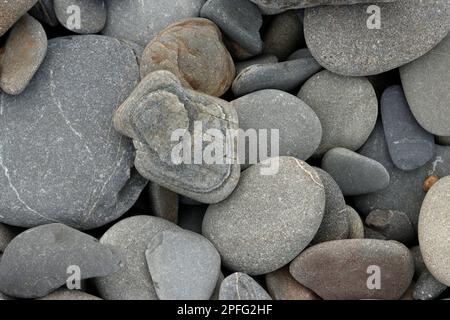 Primo piano su deetails di pietre indossate in forme lisce dal movimento di marea sulla spiaggia a New Quay, Ceredigion, Galles. Foto Stock