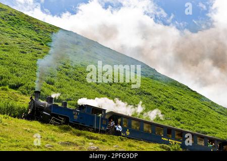 Furka Bergstrecke vapore ferrovia dentata Gletsch, Vallese, Svizzera Foto Stock