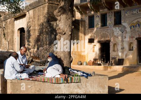 India Rajasthan, Mandawa, vita quotidiana Foto Stock
