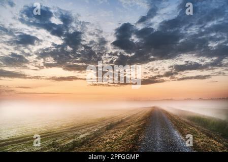 Una strada tra prati nella nebbia sotto un cielo leggermente nuvoloso al mattino. Foto Stock