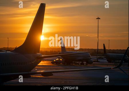 Silhouette degli aeroplani con Tails all'aeroporto durante il tramonto giallo brillante, concept picture sul trasporto come sfondo Foto Stock