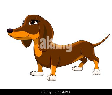 Carino cartone animato dachshund. Marrone dachshund su sfondo bianco. Illustrazione Vettoriale