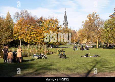 I giovani apprezzano il bel tempo autunnale sul prato del Vondelpark di Amsterdam. Foto Stock