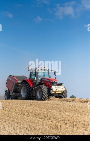 Imballare la paglia in balle rotonde con un trattore Massey Ferguson 7726 e un'imballatrice RB4160v. La paglia sarà usata per lettiera di animale. North Yorkshire, Regno Unito. Foto Stock