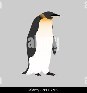 Pinguino Imperatore realistico e carino su sfondo grigio. Uccello realistico dell'Antartico. Vettore Editable per l'imballaggio, la carta, le stampe e le schede, l'istruzione Illustrazione Vettoriale