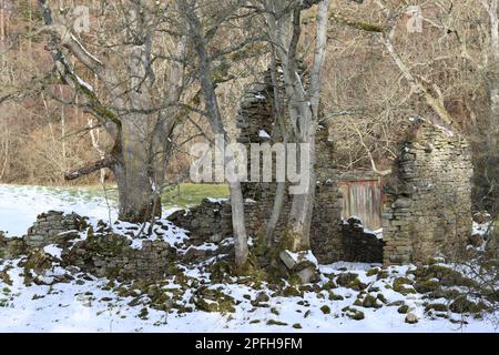 Rovine di una fattoria abbandonata in un paesaggio invernale Foto Stock