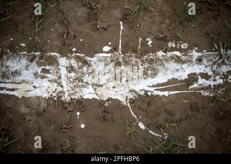 Primo piano della linea bianca sul campo da calcio locale Foto Stock