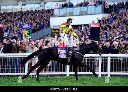 Jockey Paul Townend festeggia la vittoria della Boodles Cheltenham Gold Cup Chase a Galopin Des Champs il quarto giorno del Cheltenham Festival all'ippodromo di Cheltenham. Data immagine: Venerdì 17 marzo 2023. Foto Stock