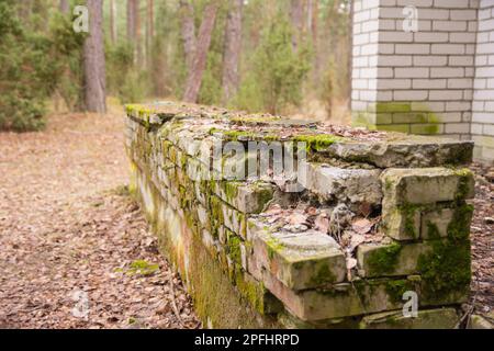 Distrutto muro di mattoni all'ingresso della terrazza di un edificio abbandonato e fatiscente, urbex. Foto Stock