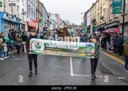 Downpatrick, Regno Unito. 17th Mar, 2023. Downpatrick UK.17th Marzo, la sfilata di San Patrizio ci sono stati molti carri colorati e costumi indossati durante la sfilata che si è inzidita nel centro della città Credit: Bonzo/Alamy Live News Foto Stock