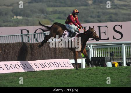 Boodles Cheltenham Gold Cup Minella Indo guidato da Nico de Boinville sul secondo circuito corse ippiche all'ippodromo di Cheltenham il giorno 4 la pinna Foto Stock