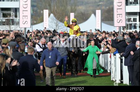 Vincitore della Boodles Cheltenham Gold Cup Race Galopin Des Champs guidato da Paul Townend che entra nel recinto dei vincitori corse ippiche a Cheltenham Ra Foto Stock