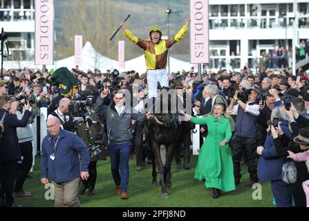 Vincitore della Boodles Cheltenham Gold Cup Race Galopin Des Champs guidato da Paul Townend che entra nel recinto dei vincitori corse ippiche a Cheltenham Ra Foto Stock