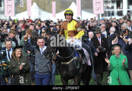 Vincitore della Boodles Cheltenham Gold Cup Race Galopin Des Champs guidato da Paul Townend che entra nel recinto dei vincitori corse ippiche a Cheltenham Ra Foto Stock