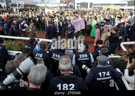 Le connessioni vincenti della Coppa d'oro di Boodles Cheltenham celebrano nella recinzione dei vincitori Vincitore della gara Galopin Des Champs guidato da Paul Townend Hor Foto Stock