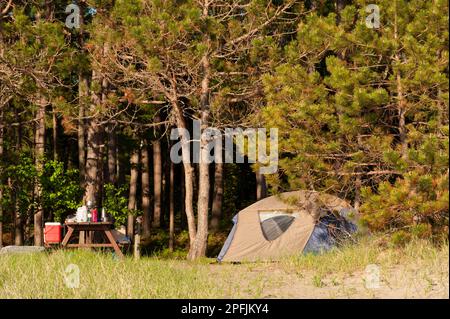 Una piccola tenda e un tavolo da picnic con attrezzatura da campeggio sono accoccolati tra gli alberi ai margini della spiaggia al Lake Superior Provincial Park, Ontario, Canada. Foto Stock