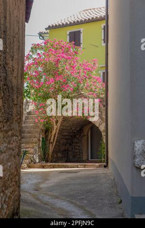 Panorami pittoreschi e impressioni di Omisalj, una piccola cittadina situata sull'isola di Krk, risalente all'epoca romana. Foto Stock