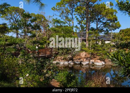 Ponte giapponese su un laghetto presso il Museo Morikami e il Giardino Giapponese Foto Stock