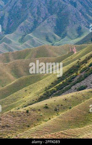 Ile-Alatau National Park, Assy altopiano, Almaty in Kazakistan e in Asia centrale Foto Stock