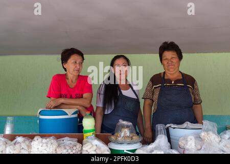 Gruppo di donne kazake dietro il loro stand con formaggio di capra e kumis, Altyn Emel National Park, provincia di Almaty, Kazakistan, Asia centrale, for Foto Stock