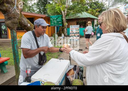 Tortuguero, Costa Rica - Un venditore di strada vende una noce di cocco ad un turista in questo piccolo villaggio sulla costa caraibica. L'acqua di cocco rinfrescante insid Foto Stock