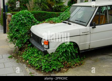 Ivy (Hedera Helix) che si arrampica su una vecchia Land Rover in città, Chiswick, Londra, Inghilterra, Regno Unito Foto Stock