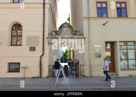 Università, Collegienstrasse, Luther City Wittenberg, Sassonia-Anhalt, Germania Foto Stock