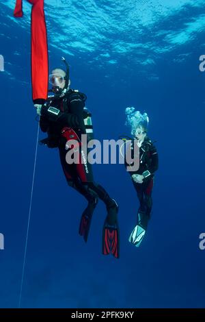 Subacqueo, subacqueo, esercizio, impostazione della boa di sicurezza, 3rd tenendo la boa di sicurezza fino a quando non è riempito di aria, Mar Rosso, Hurghada, Egitto Foto Stock