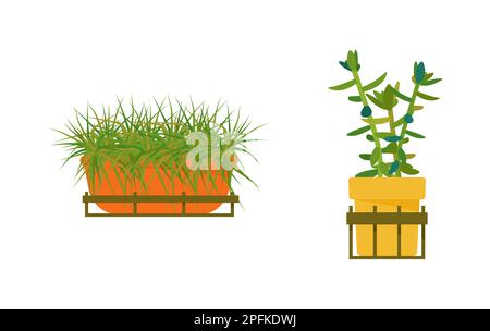 Set di piante di casa. Interni dal design scandinavo. Elemento di progettazione. Illustrazione vettoriale Illustrazione Vettoriale