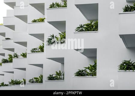esterno di un edificio residenziale di colore bianco con piante verdi sui balconi. moderna architettura cittadina Foto Stock