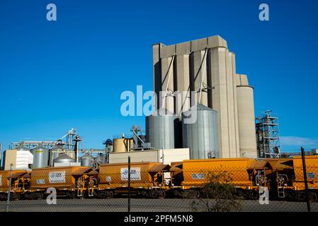 Port Adelaide, Australia - 23 maggio 2022: Cargill fornisce prodotti alimentari, agricoli, finanziari e industriali e servizi al mondo Foto Stock