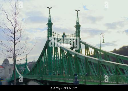 Budapest, Ungheria, 19 marzo 2019: Ponte della libertà sul Danubio a Budapest, paesaggio urbano Foto Stock
