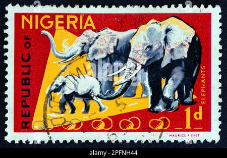 NIGERIA - CIRCA 1965: Un francobollo stampato in Nigeria mostra gli elefanti africani, circa 1965. Foto Stock