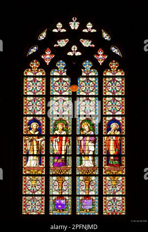 Vetrata colorata raffigurante un santo che esegue il sacramento della Santa Comunione in San John's Cathedral, a den Bosch, Paesi Bassi. Foto Stock