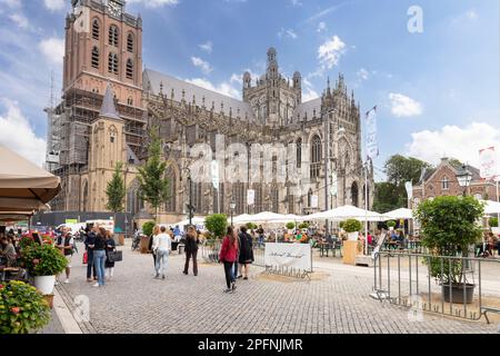 St John's Cathedral nel centro di Den Bosch. Foto Stock